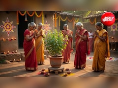 Janmashtami 2026 Tulsi Rules: जन्माष्टमी पर भूलकर भी न तोड़ें तुलसी, पूजा से पहले जान लें ये जरूरी नियम