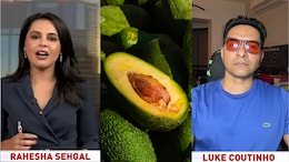 Watch: PM Modi's Avocado Post Got Everyone Talking. What Luke Coutinho Told NDTV