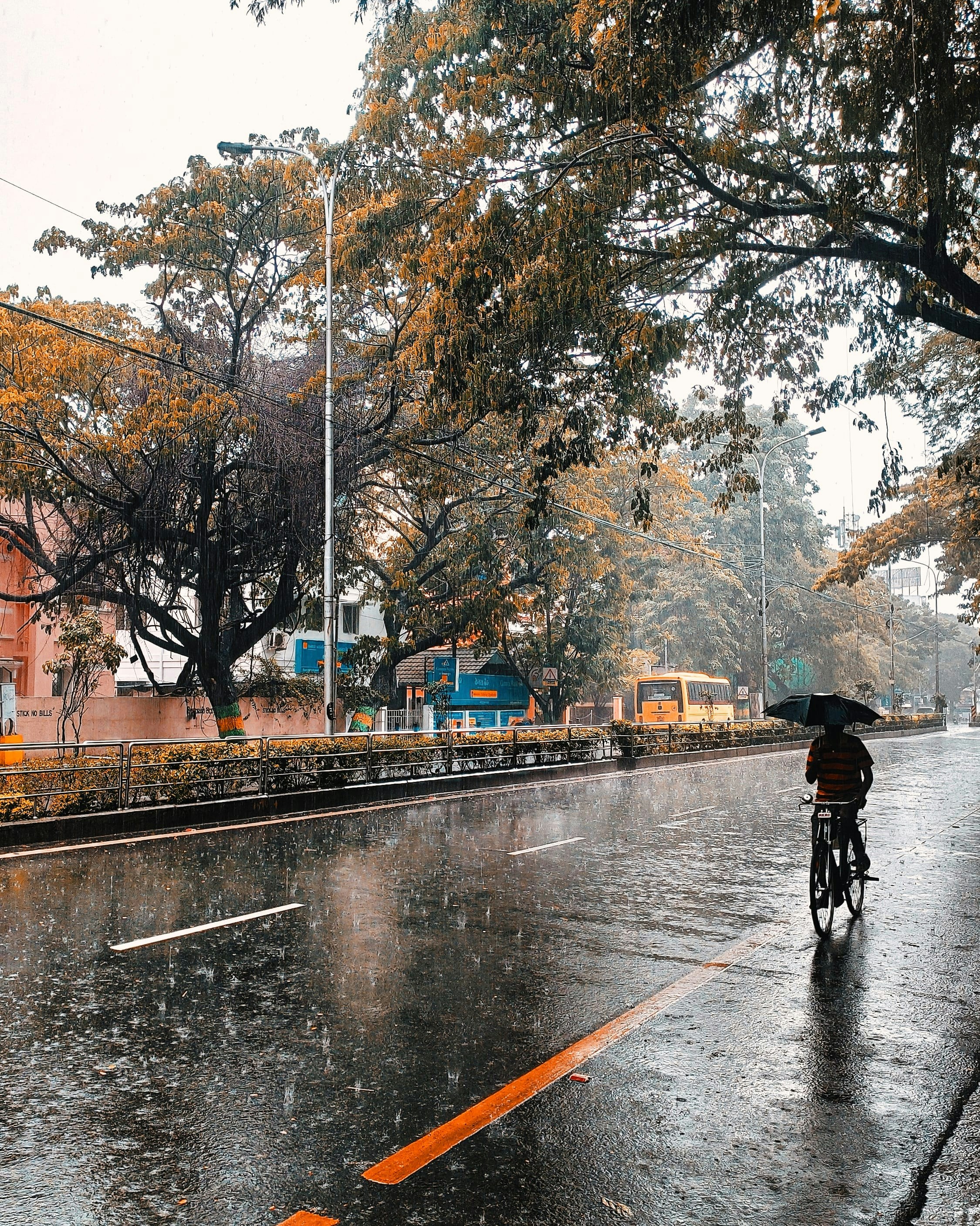 Weather Tomorrow: Met Department Forecasts Widespread Rain Across North India After Cyclone Arnab