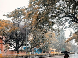 Weather Tomorrow: Met Department Forecasts Widespread Rain Across North India After Cyclone Arnab