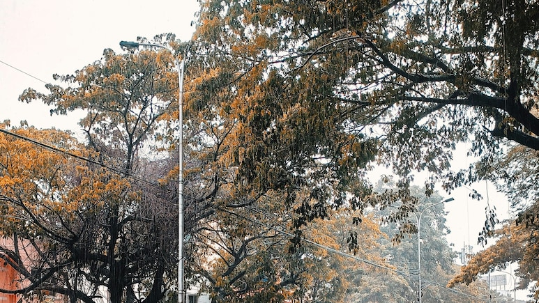 Weather Tomorrow: Met Department Forecasts Widespread Rain Across North India After Cyclone Arnab