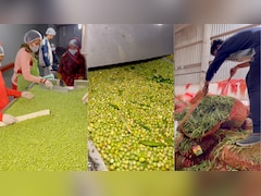 How Do Frozen Green Peas Reach The Packets We Buy? Video Explains