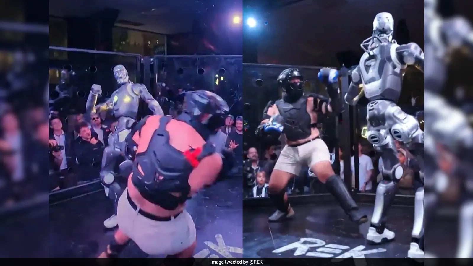 Influencer Faces Humanoid Robot in First Human-Versus-Robot Fight