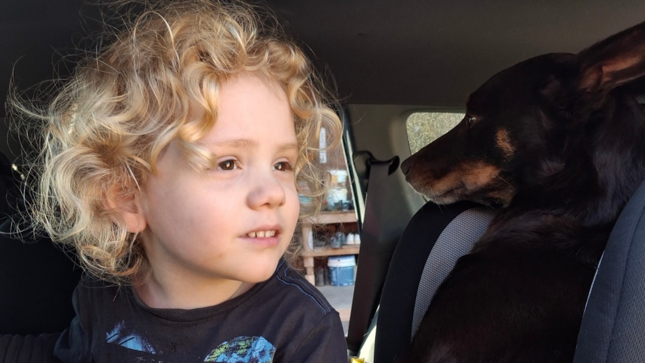 Police have scoured 60,000 hectare in search for Gus Lamont. Police have scoured 60,000 hectare in search for Gus Lamont.