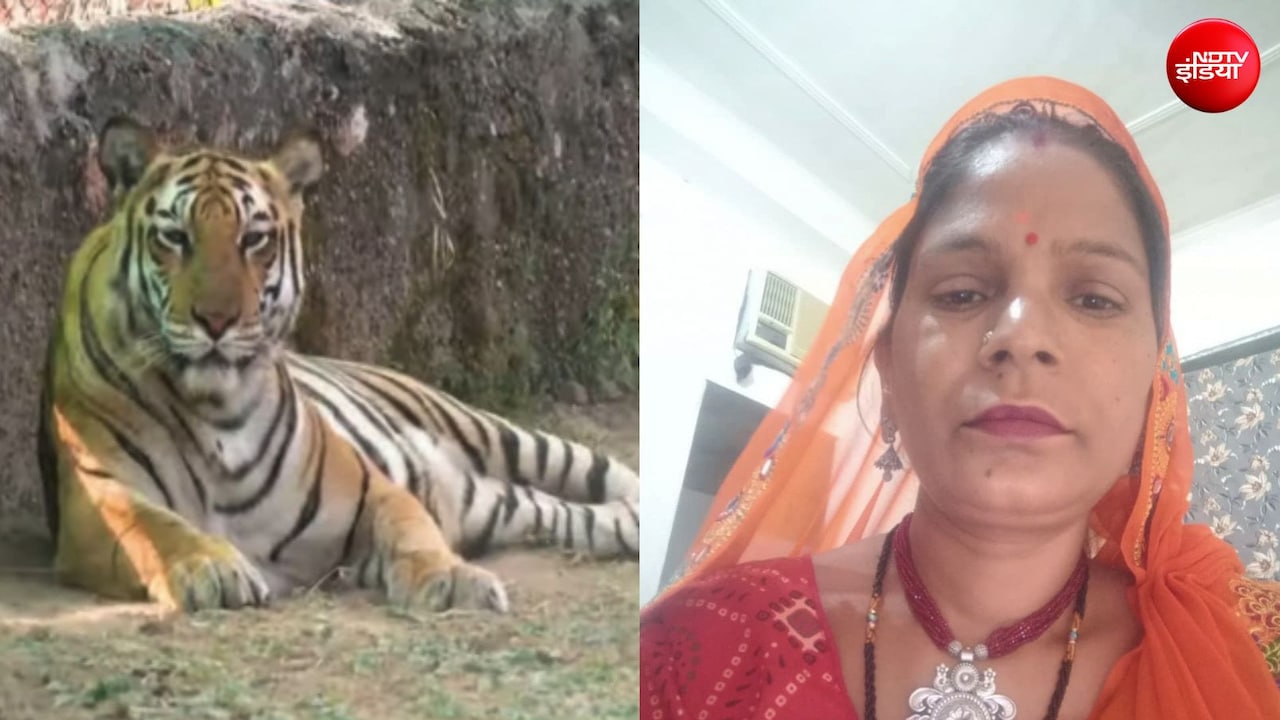 नाहरगढ़ में बाड़े में 6-7 महिलाएं काट रही थीं घास, अचानक आ गया बाघ, एक को दबोचा