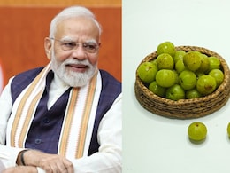 PM मोदी ने बताया क्यों आंवला है सेहत का खजाना, रोज खाने से मिलते हैं ये गजब फायदे