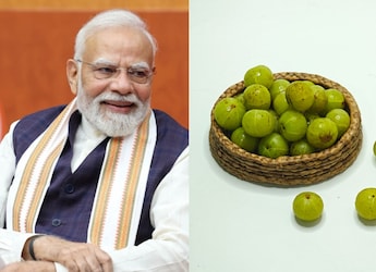 PM Modi Spotlights Amla In Latest Mann Ki Baat: Why You Need This Indian Superfood