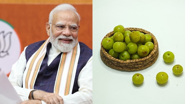 Amla is packed with vitamin C, which is crucial for a strong immune system