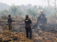 Indonesia's Wildfires May Last Until Early November, Says Forestry Minister