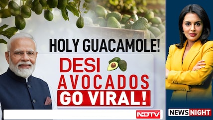 PM Modi's New Video Puts The Spotlight On Avocado And Its Rising Popularity