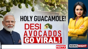PM Modi's New Video Puts The Spotlight On Avocado And Its Rising Popularity