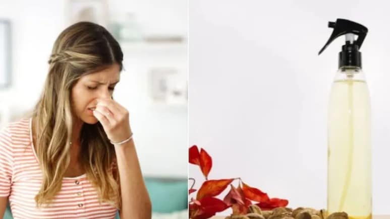 घर में घुसते ही महसूस होगी ताजगी, मिनटों में बनाएं DIY वनीला स्प्रे