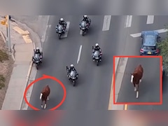 अमेरिका में घोड़े ने मचाया उत्पात, परेड से पहले हुआ ‘आजाद’, बाइक पर पीछा करती पुलिस को भी गिराया- VIDEO वायरल