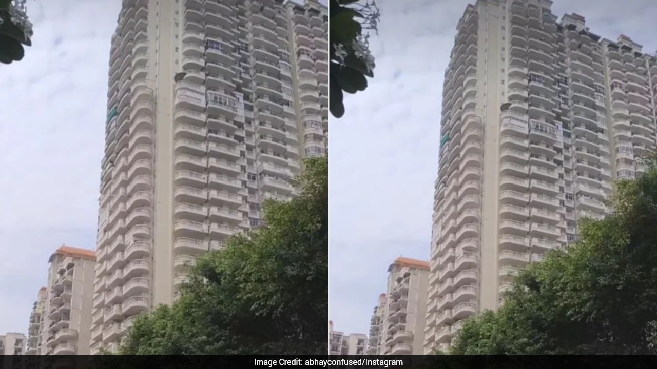 Man Compares High-Rise Living With Colonies, Says No One Is Going To Check On You