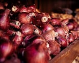 Kitchen Budgets Hit: Onion Prices Nearly Double Amid Maharashtra Drought