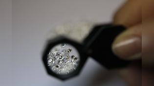 India, Belgium Should Work Together On Lab-grown Diamonds, Says Piyush Goyal
