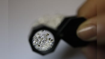 India, Belgium Should Work Together On Lab-grown Diamonds, Says Piyush Goyal