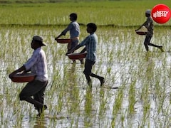 मध्य पूर्व युद्ध से गहराया नया संकट, सल्फर की कीमत दोगुनी; किसानों को रबी सीजन में महंगी खाद मिलेगी? 