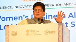 केंद्रीय मंत्री पीयूष गोयल जाएंगे अमेरिका, ट्रेड डील पर होगी चर्चा; किस पर बनी अंडरस्टैंडिंग?
