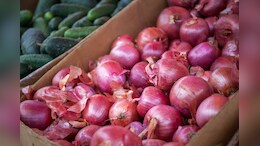 Govt Sells 4,000 Tonnes Of Buffer Onions Across 17 Cities In10 Days To Cool Prices