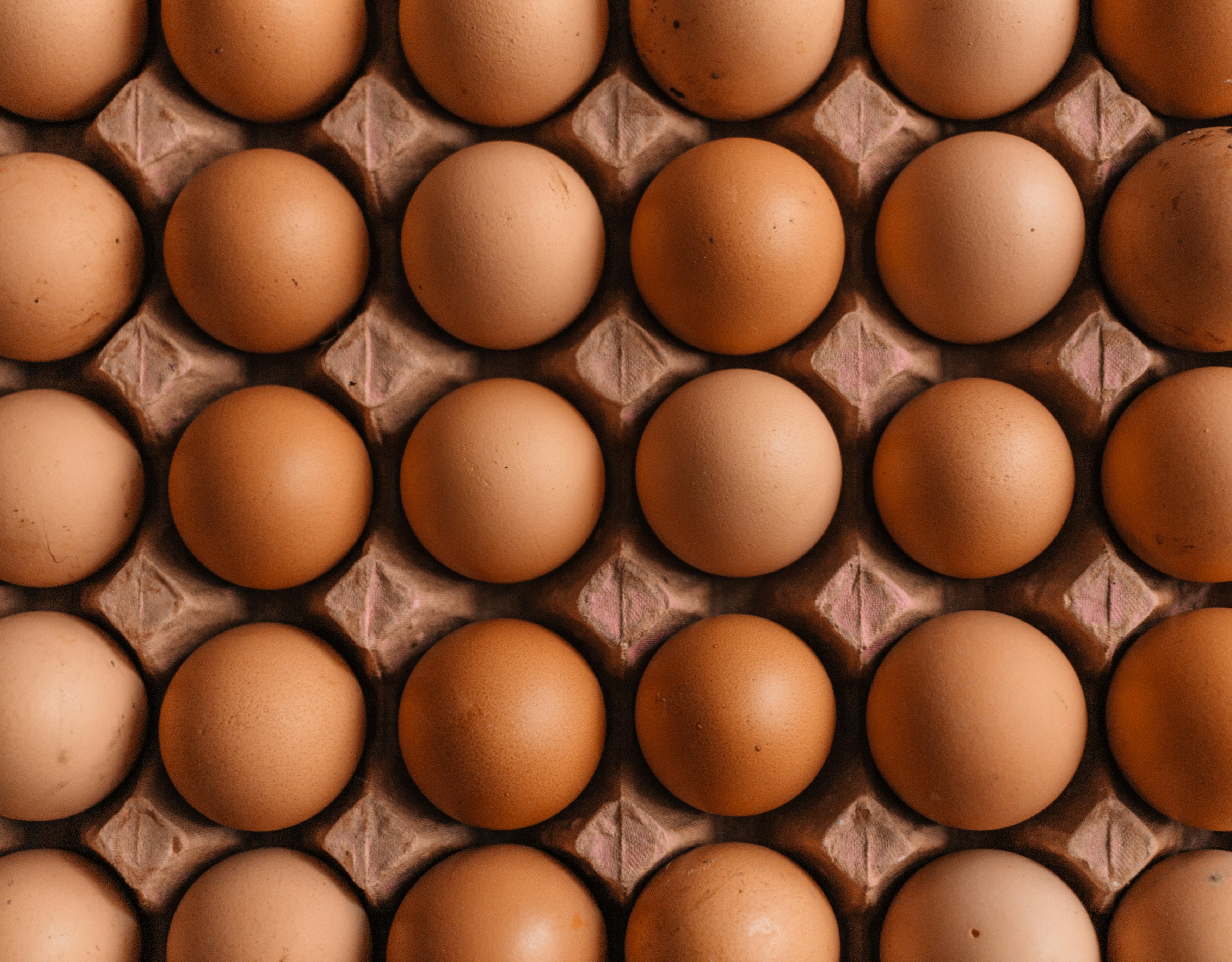 Video: Food Authority Shows The Right Way To Check If Eggs Are Fresh Or Stale