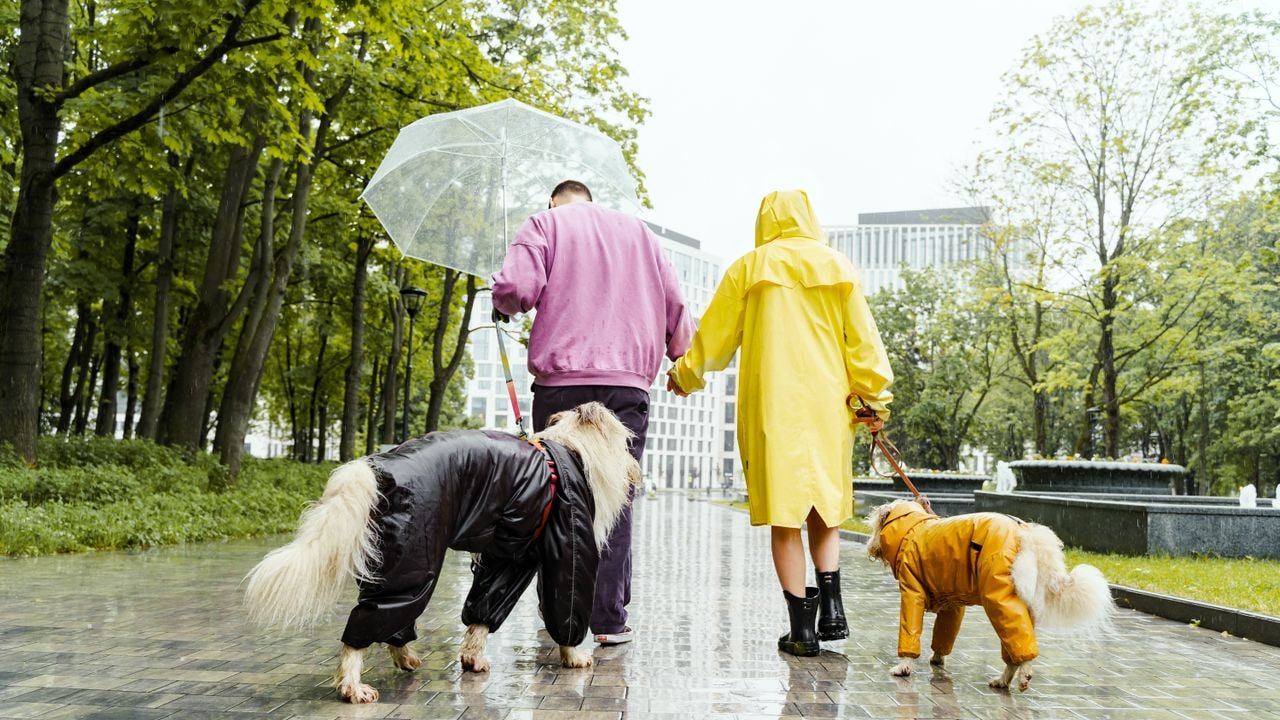 Types of rainwear essentials thatll keep you sorted every year Types of rainwear essentials thatll keep you sorted every year