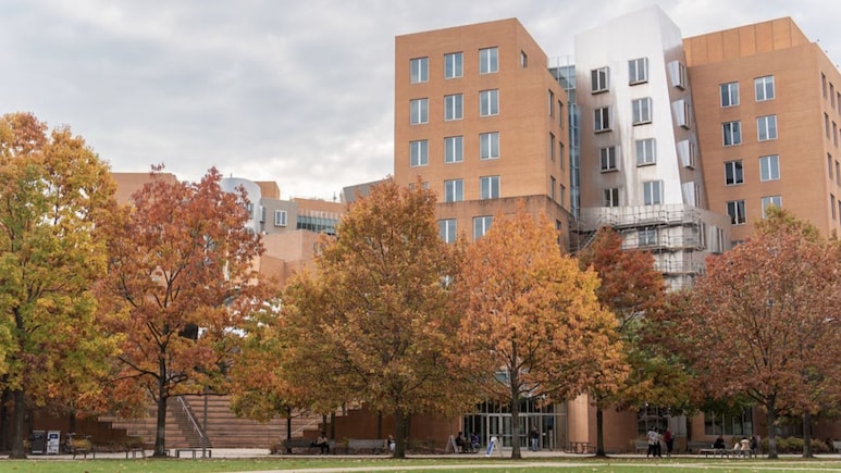 MIT Postdoctoral Fellowship 2027: Applications Open, Rs 84 Lakh Stipend