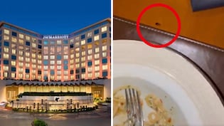 Cockroach Joins Cardiologist For Dinner At JW Marriott, He Tags Tukaram Munde
