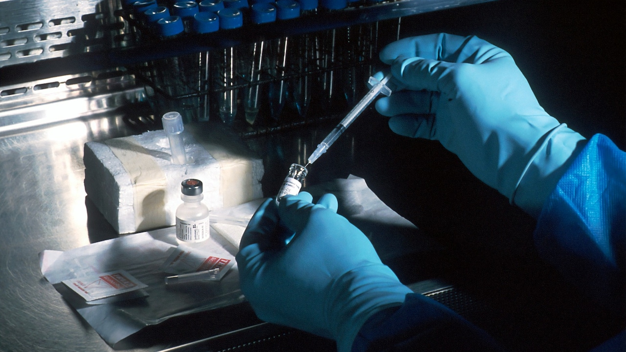 Molbio Diagnostics Stock Soars 9% As It Becomes Jefferies Top Med Tech Pick At Initiation