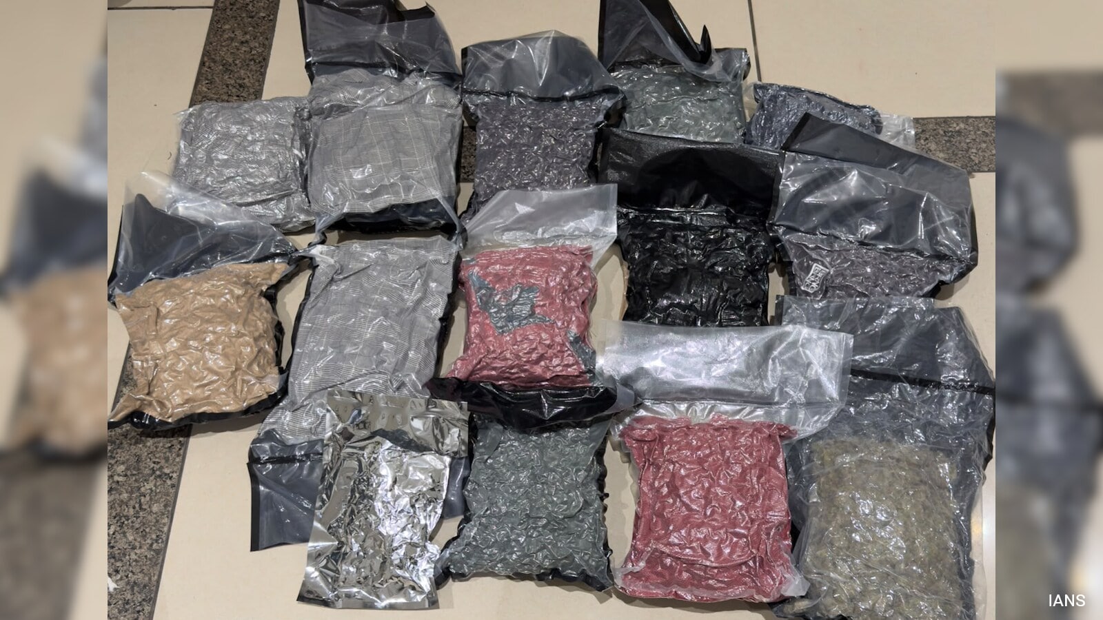 Mumbai Man Arrested at Ahmedabad Airport with Rs 8.9 Crore Hydroponic Marijuana