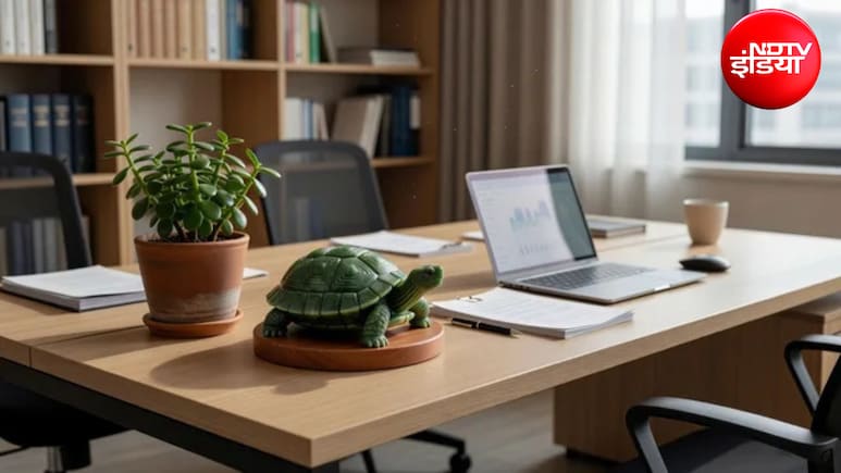 Feng Shui Turtle: ऑफिस में उत्तर दिशा में रखें फेंगशुई कछुआ, करियर से बिजनेस तक मिलेगी तरक्की