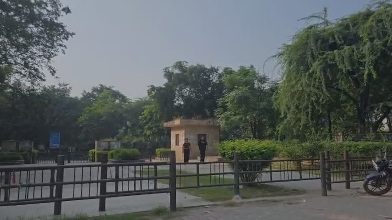 Birthday Ended In Horror At Delhi Park: What Gang-Rape Survivor Told Cops
