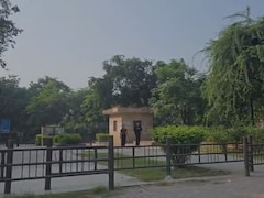 Birthday Ended In Horror At Delhi Park: What Gangrape Survivor Told Cops
