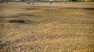Record El Nino Now Threatens Winter Crop As India Sees Worst Monsoon In Over A Decade