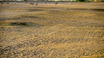 Record El Nino Now Threatens Winter Crop As India Sees Worst Monsoon In Over A Decade