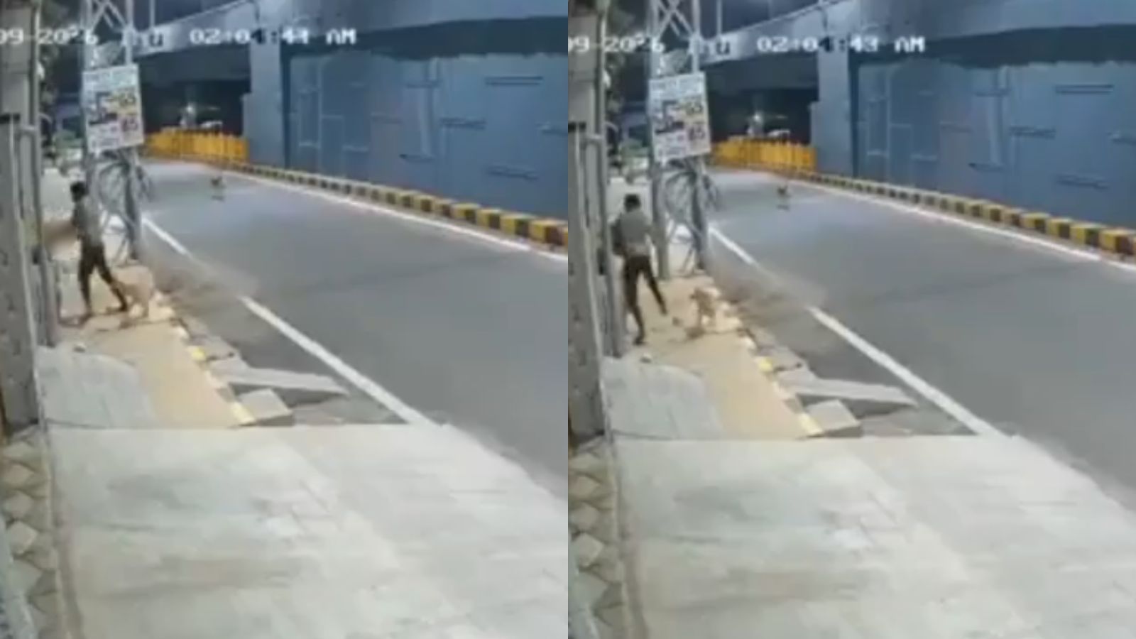 Drunk Minor Molests Woman In Coimbatore, Stray Dogs Chase Him Away