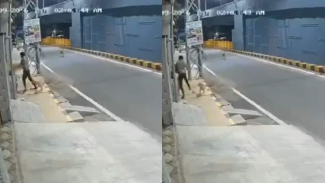 Drunk Minor Molests Woman In Coimbatore, Stray Dogs Chase Him Away