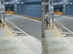 Drunk Minor Molests Woman In Coimbatore, Stray Dogs Chase Him Away