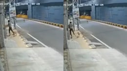 Drunk Minor Molests Woman In Coimbatore, Stray Dogs Chase Him Away