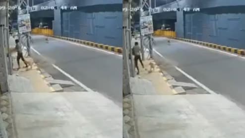 Drunk Minor Molests Woman In Coimbatore, Stray Dogs Chase Him Away