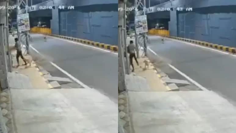 Drunk Minor Molests Woman In Coimbatore, Stray Dogs Chase Him Away