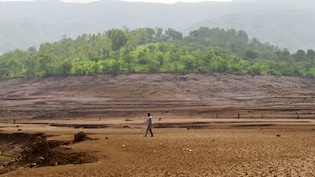 Maharashtra Drought: Crop Loans To Exam Fees - Check Relief Measures For Farmers, Students And Villages