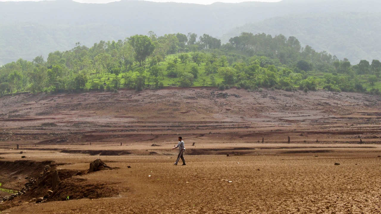 Maharashtra Drought: Crop Loans To Exam Fees - Check Relief Measures For Farmers, Students And Villages