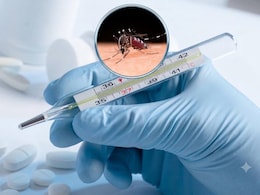 Fever Dropped But Still Weak? Why Days 4 To 6 Of Dengue Are The Most Dangerous