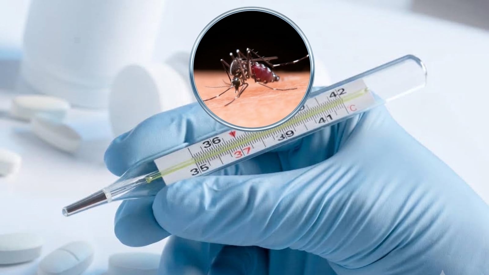 Experts Highlight Risks and Recovery Challenges in Rising Dengue Cases in India