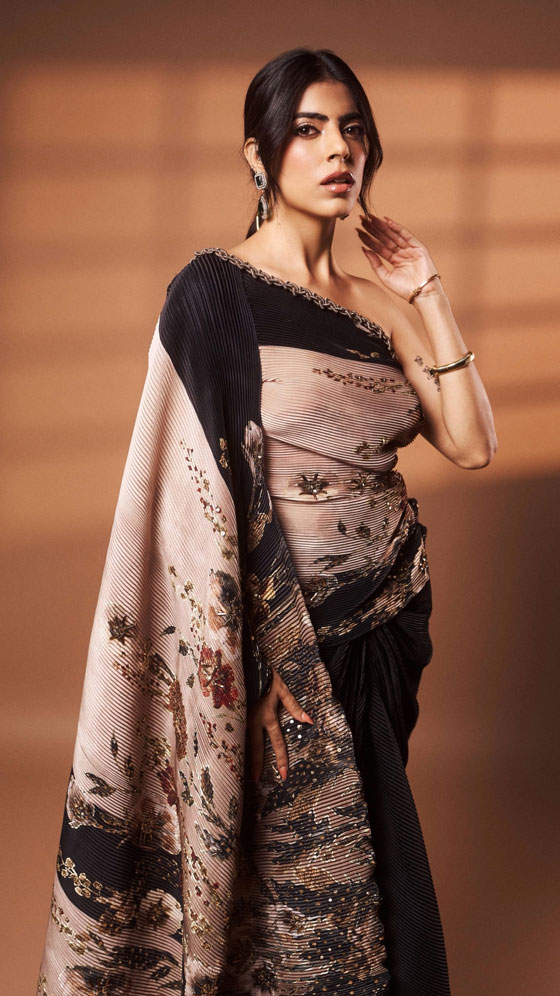 RJ Karishma Proves Printed Sarees Never Go Out Of Style