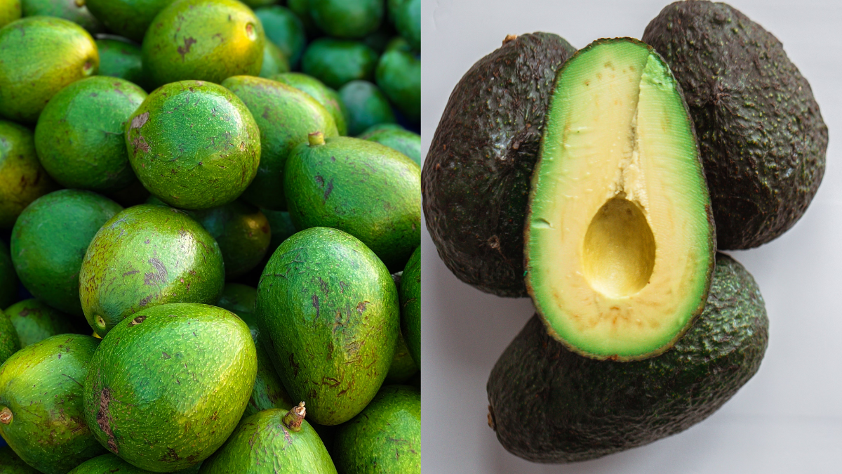 Is Hass Creamier Than Indian Avocado? Taste, Texture, And More Explained