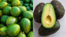 Is Hass Creamier Than Indian Avocado? Taste, Texture, And More Explained