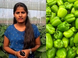 MBA Graduate Left Her Corporate Job To Start Capsicum Farming, Now Earns Rs 4 Crore