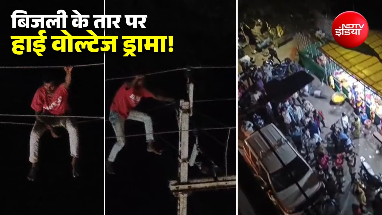 बिजली के तारों पर हाई-वोल्टेज ड्रामा... बड़ी जद्दोजहद के बाद नीचे उतरा शख्स, अकोला पुलिस के छूटे पसीने